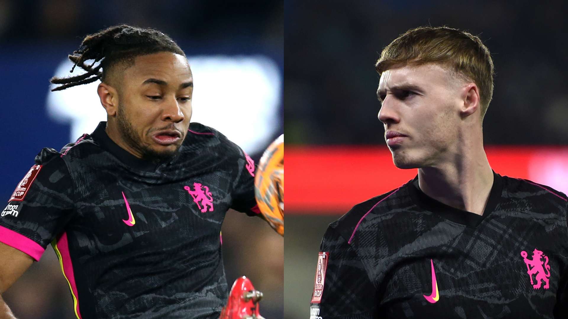 读者将能更 读者将能更